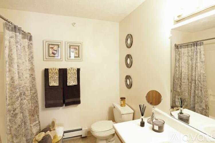 A bathroom with a toilet, sink, mirror, and two windows with curtains.