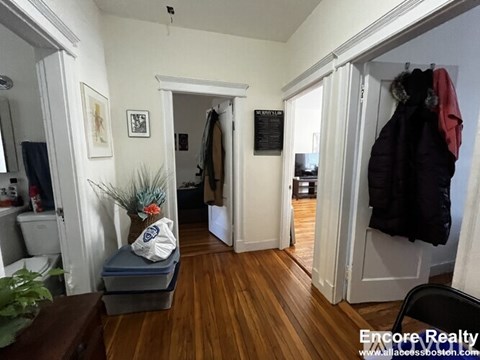 A hallway with a coat hanging on the wall and a plant on the table.