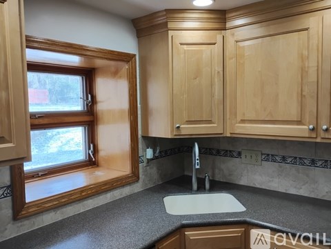 A kitchen with wooden cabinets and a window.