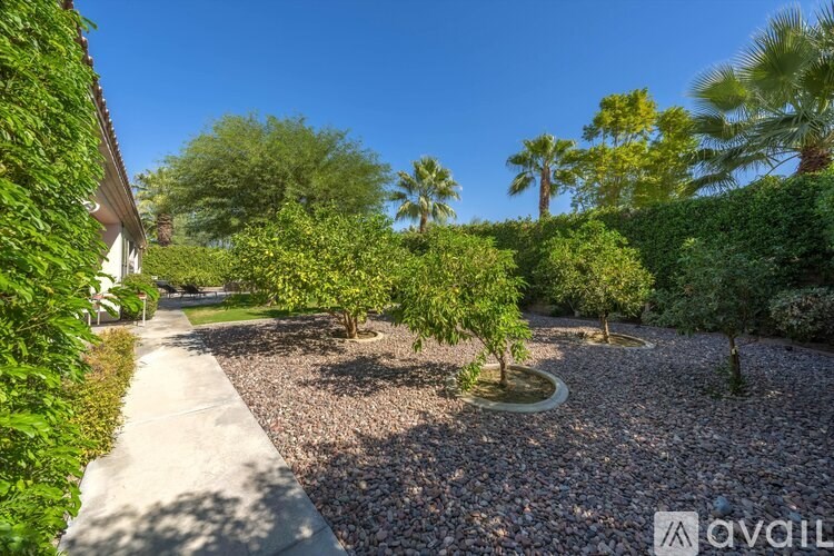 A garden with a gravel path and a small pond in the middle.