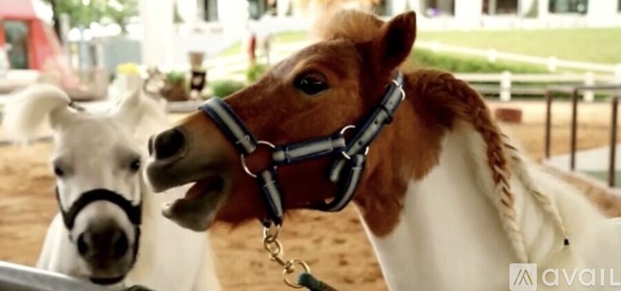 A brown horse with a white blaze on its face is wearing a bridle.