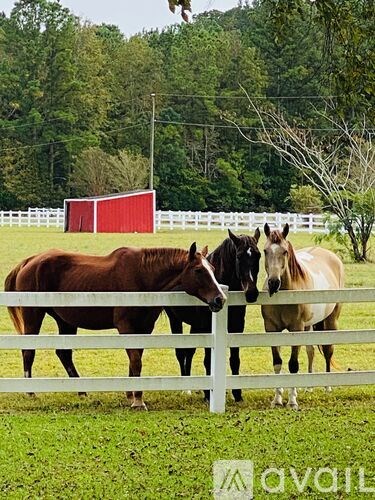 Three horses are standing behind a white fence.