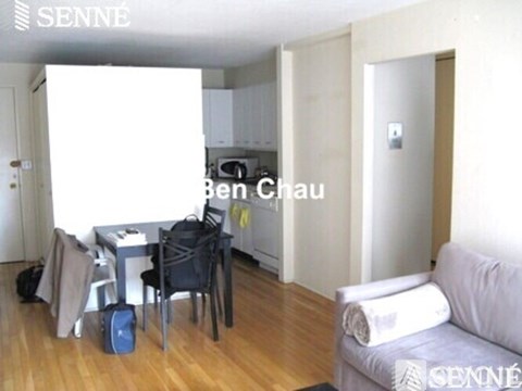 A living room with a couch, a table and chairs, and a kitchen area in the background.