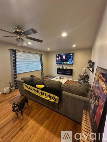 A dog is standing in a living room with a grey couch and a TV on the wall.