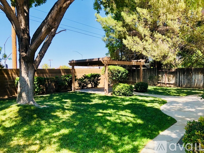 A backyard with a tree, a wooden fence, and a small building.