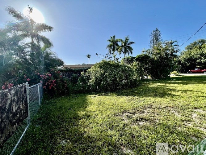 A sunny backyard with a fence and palm trees.