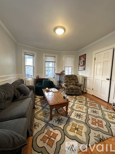A living room with a grey couch and a rug with a pattern.