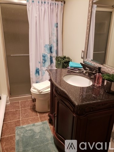 A bathroom with a toilet, sink, and shower curtain.