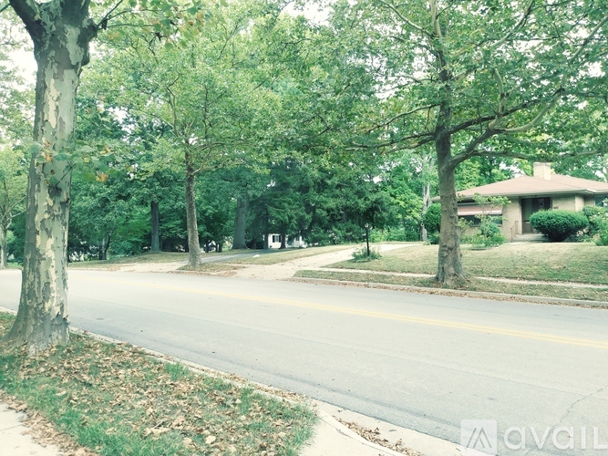 A tree-lined street with a house in the background.