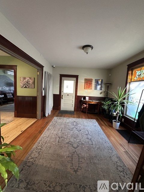 A living room with a rug on the floor and a plant on the right side.