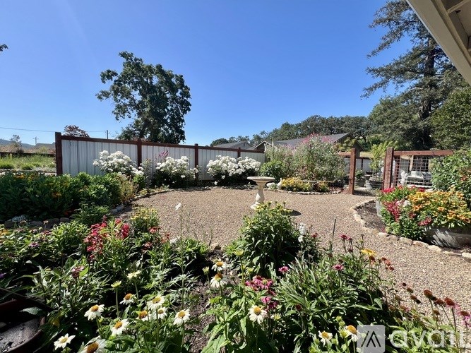 A garden with a variety of flowers and plants.