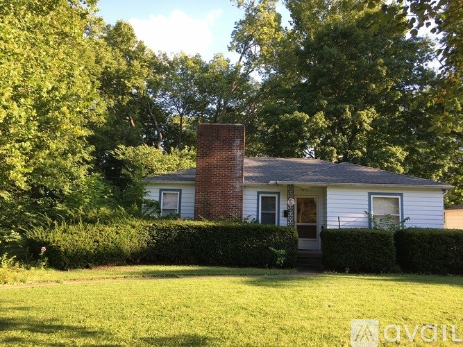 A house with a brick chimney is surrounded by greenery.