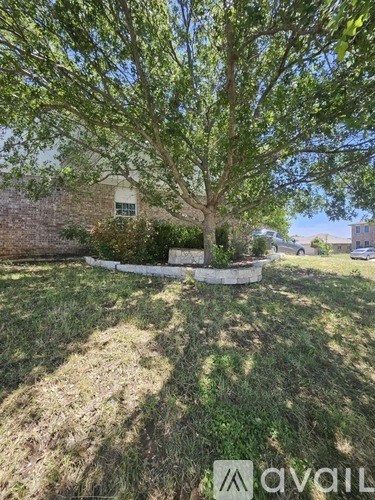A tree in a yard with a house in the background.
