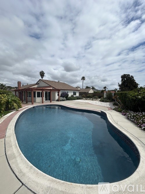 A swimming pool in a backyard with a house and palm trees in the background.