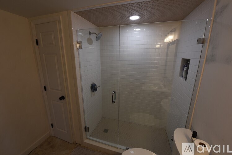 A bathroom with a walk in shower and toilet.