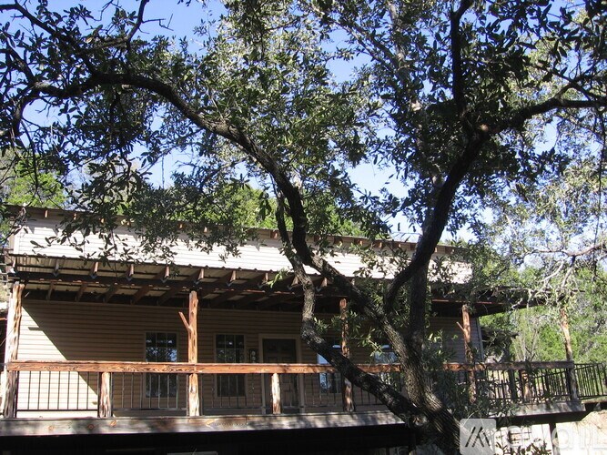 A tree is in front of a house.