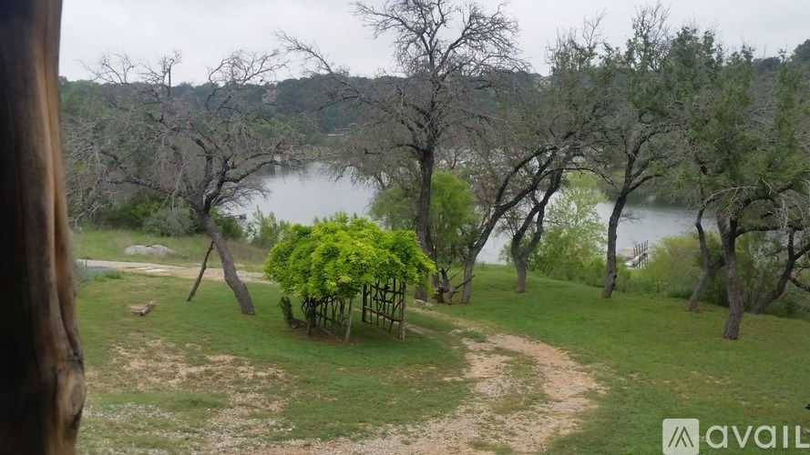 A tree-lined path leads to a body of water.
