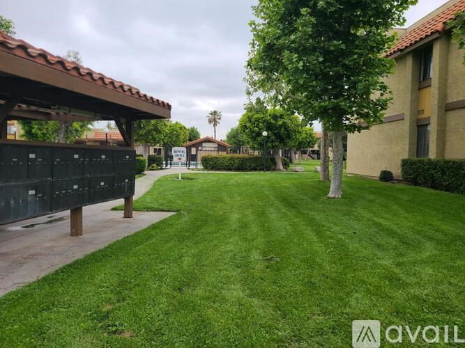 A grassy area with a tree and a building in the background.