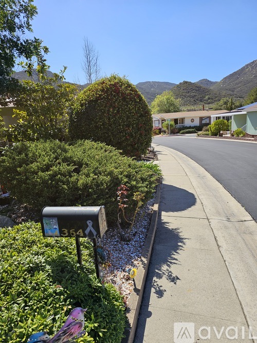 A street view with a mailbox numbered 354.