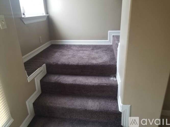 A staircase with a carpeted runner and white risers.
