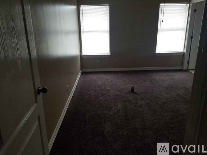 A room with a carpeted floor, two windows, and a door.
