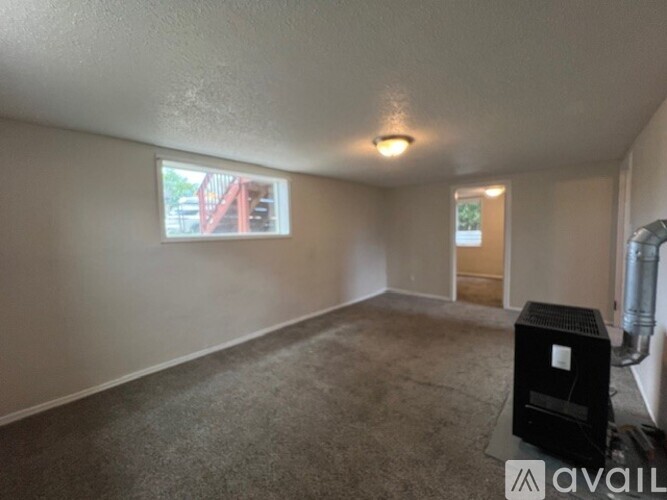 A white closet with a door and a carpeted floor.