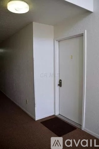 A hallway with a door on the right and a mat on the floor.
