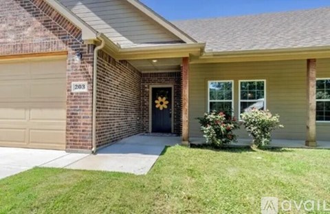 203 8Th St 3 Beds Apartment for Rent