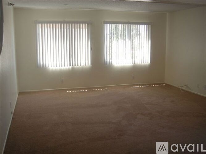A room with two windows and carpeted floor.