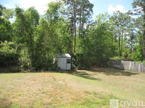 A backyard with a shed and a fence.