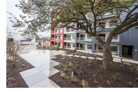 A tree in front of a building with a red and white building in the background.