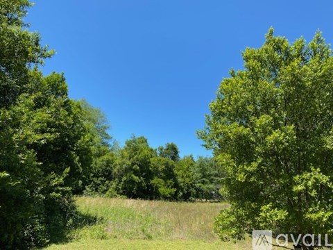 A field with trees and a clear blue sky.