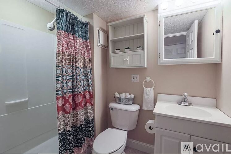 A bathroom with a toilet, sink, and shower curtain.