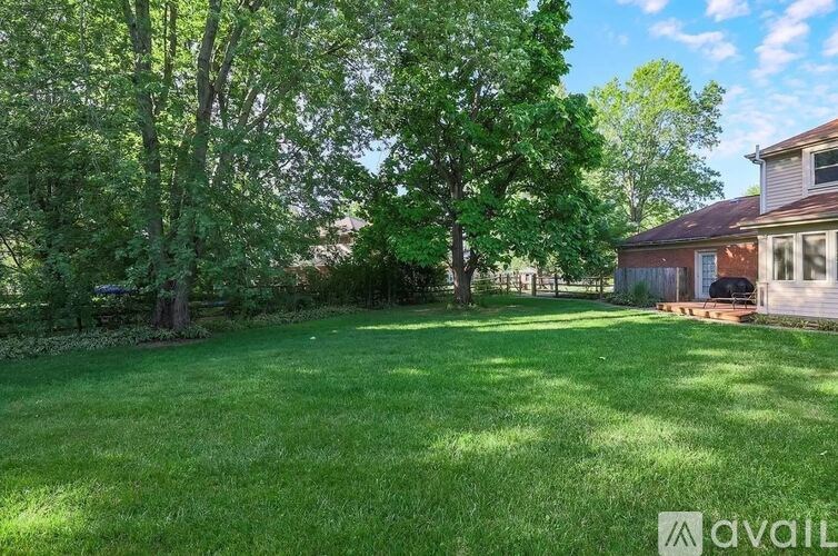 A backyard with a lawn and trees.