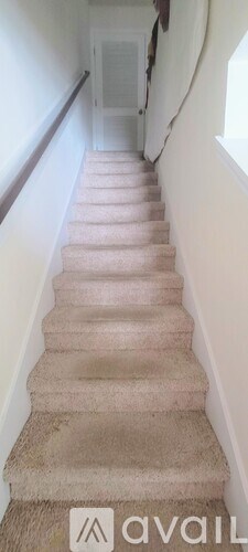 A staircase with beige carpeted steps and a white door at the top.