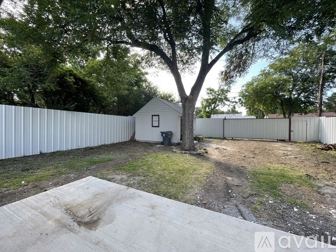 A backyard with a tree, a shed, and a fence.