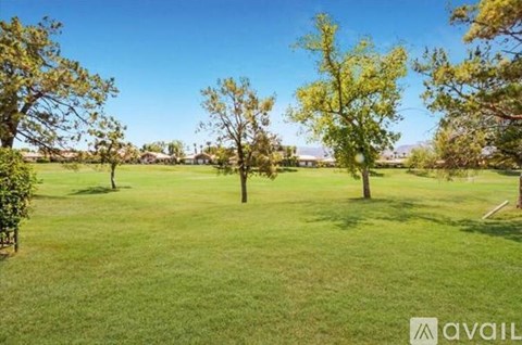 A grassy field with trees and a clear blue sky.