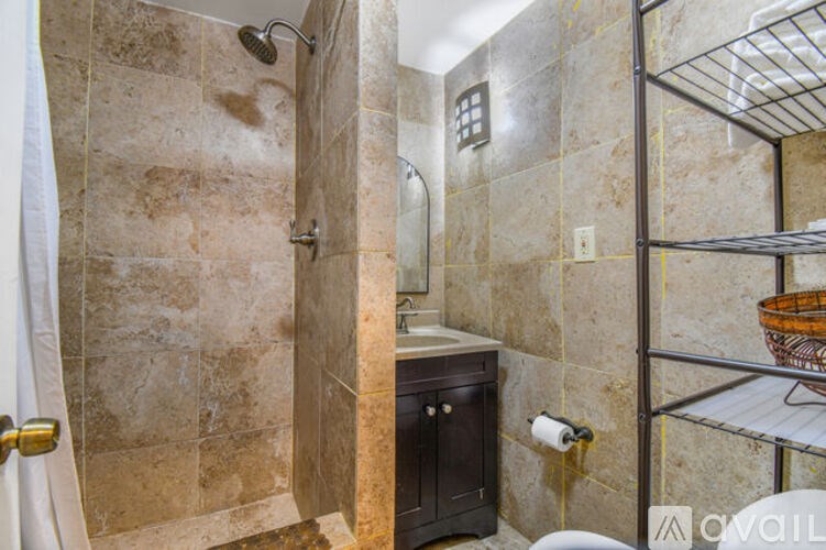 A bathroom with a walk-in shower and a toilet.