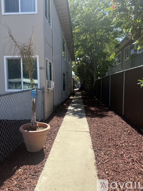 A tree in a pot sits on a sidewalk between two buildings.