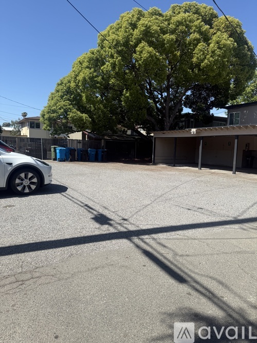 A car is parked on a street with a large tree in the background.