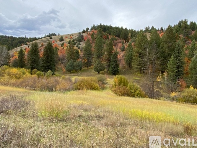 A field with trees and grass in the foreground.