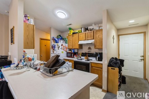 A kitchen with a counter and cabinets.