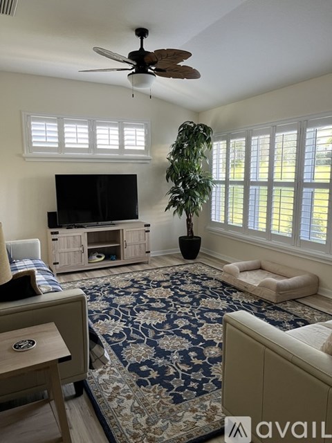A living room with a television, a rug, and a ceiling fan.