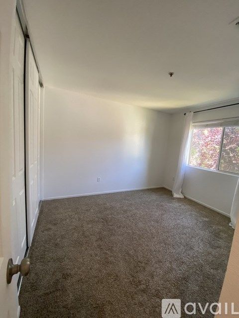 A room with carpeted floor, a door, and a window with a view of trees outside.