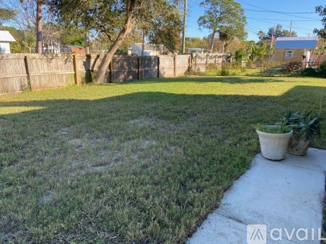 A backyard with a lawn and a potted plant.