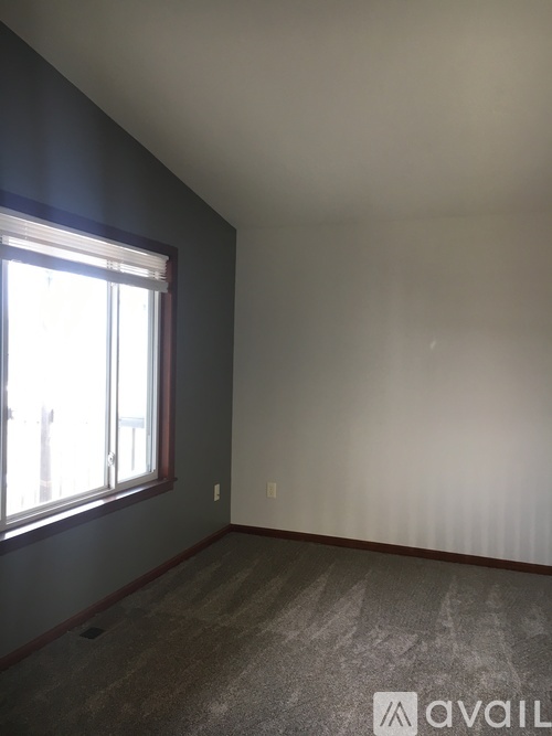 A room with a window and a carpeted floor.