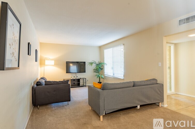 A living room with a grey couch, a brown couch, a television, and a potted plant.