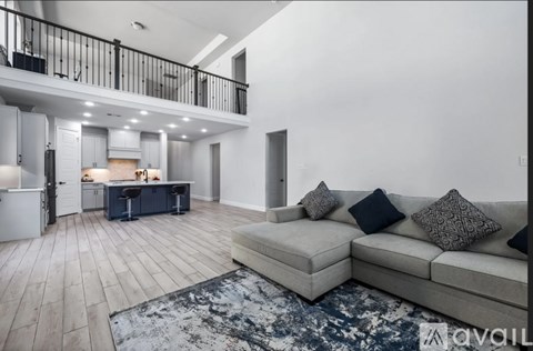 A modern living room with a grey sofa and a black and white rug.