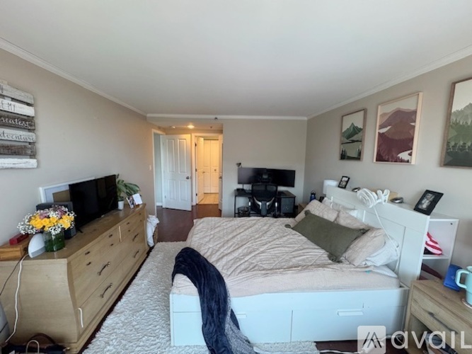 A bedroom with a bed, dresser, and a television.