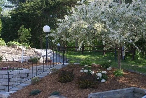 A garden with a black fence and white flowers.